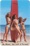 surf