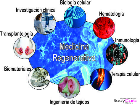 Medicina Regenerativa