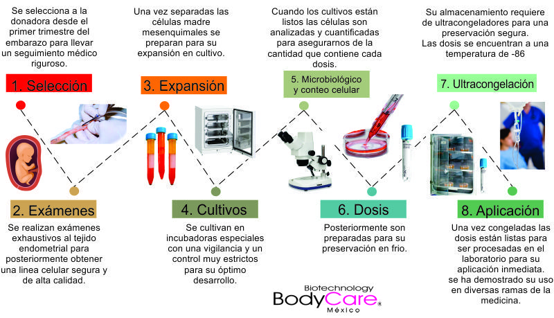 Proceso Obtencion CCMs
