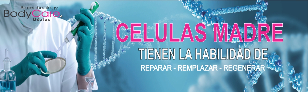 Celulas Madre