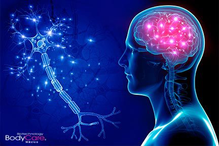 Cerebro