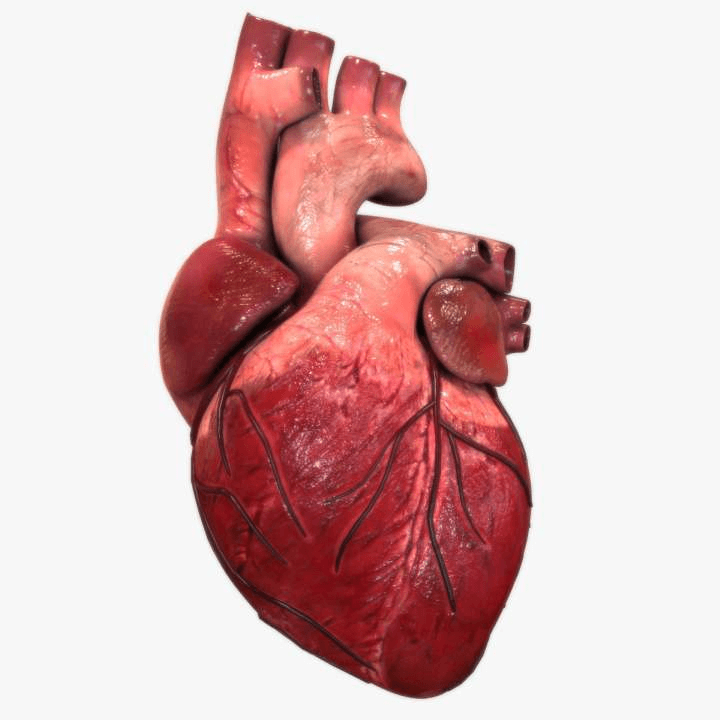 Corazon