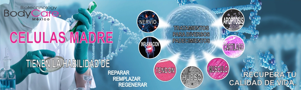 Celulas Madres Mesenquimales